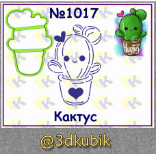 Кактус 1017