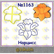 Нарцисс 1163