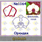 Орхидея 1164