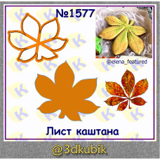 Лист каштана 1577