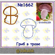 Гриб в траве 1662