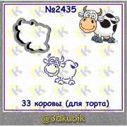 33 коровы 2435