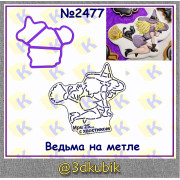 Ведьма на метле 2477