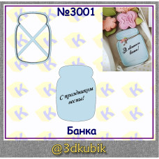 Банка 3001