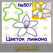 Цветок лимона 507