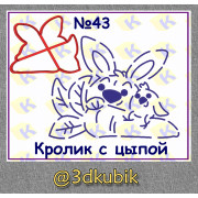 Кролик 43