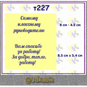 т227 самому классному руководителю